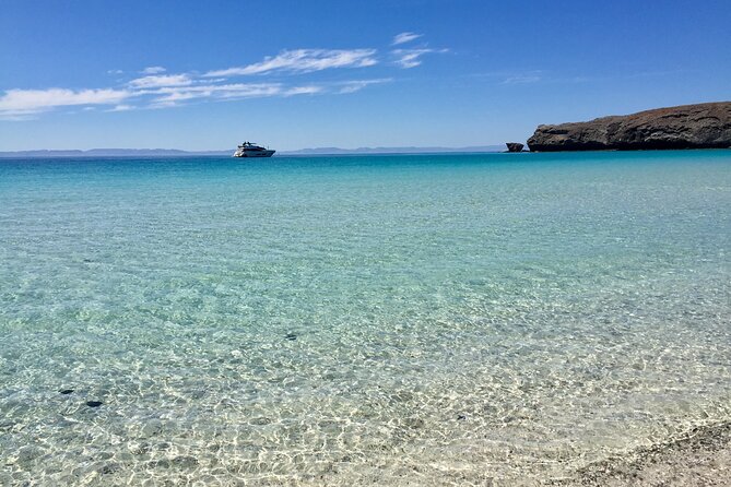 Small Group Snorkeling and Swim with Whale Sharks & Sea Lions in La Paz - The Experience of Guides and Overall Atmosphere
