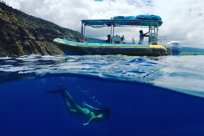 Small Group Snorkeling Expedition South Kona - Guides and Their Expertise
