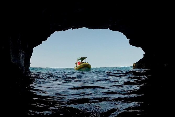 Small Group Snorkeling Expedition South Kona - Food, Drink, and Rest Breaks