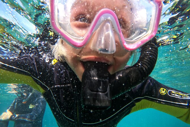 Small Group Snorkeling in Abades Bay with Licensed Guide - Logistics: Meeting Point, Group Size, and Accessibility