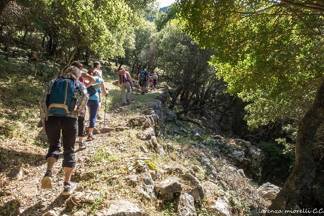 Small Group Sunset Hiking from Salakos to Profitis Ilias - Physical Requirements and Practical Tips