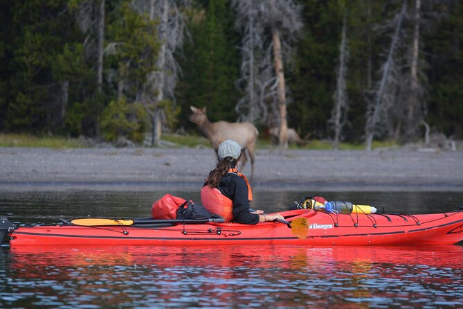 Small-Group Sunset Kayaking Tour on Lake Yellowstone - Flexible Cancellation and Booking Policy