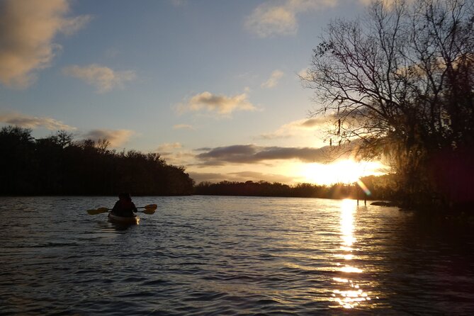 Small Group Sunset Paddle Among Manatees near Orlando - Discover the Small Group Sunset Paddle Among Manatees near Orlando