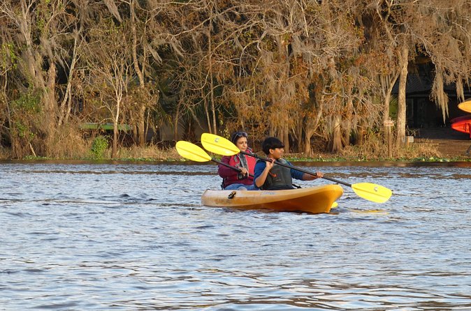Small Group Sunset Paddle Among Manatees near Orlando - Wildlife Encounters in Blue Spring State Park