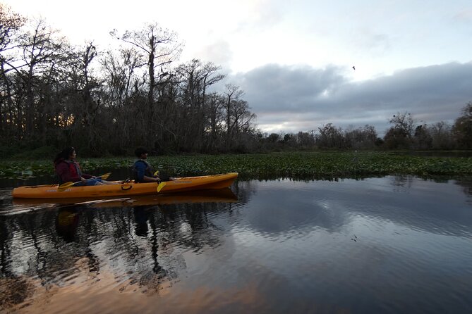 Small Group Sunset Paddle Among Manatees near Orlando - Practical Tips for a Smooth Sunset Paddle