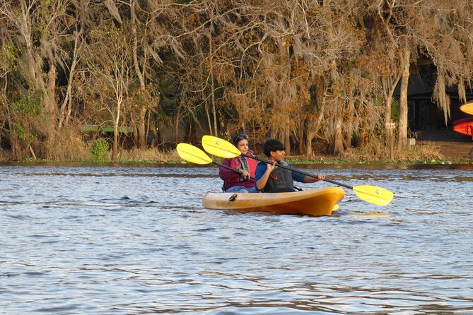 Small Group Sunset Paddle Among Manatees near Orlando - Physical Requirements and Accessibility