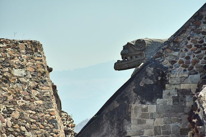 Small Group: Teotihuacan Pyramids and Shrine of Guadalupe from Mexico City - Who Will Enjoy This Tour?