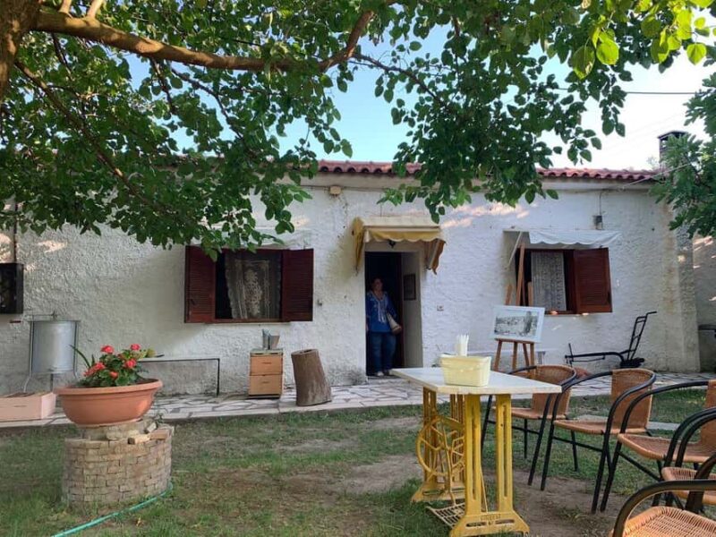 Small Group Tour Ancient Olympia & Local Delicacies Tasting - Leisure Time in Olympia Village