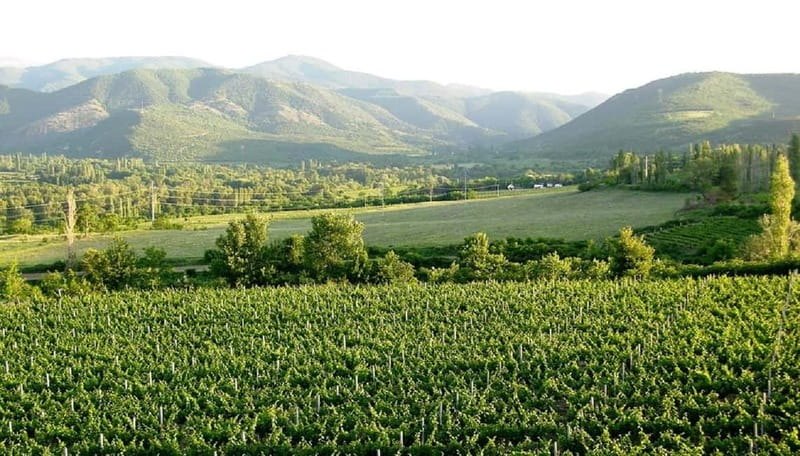 Small Group Tour; Best of North Macedonia in Eight Days - Final Day: Skopje’s Old Bazaar and City Landmarks