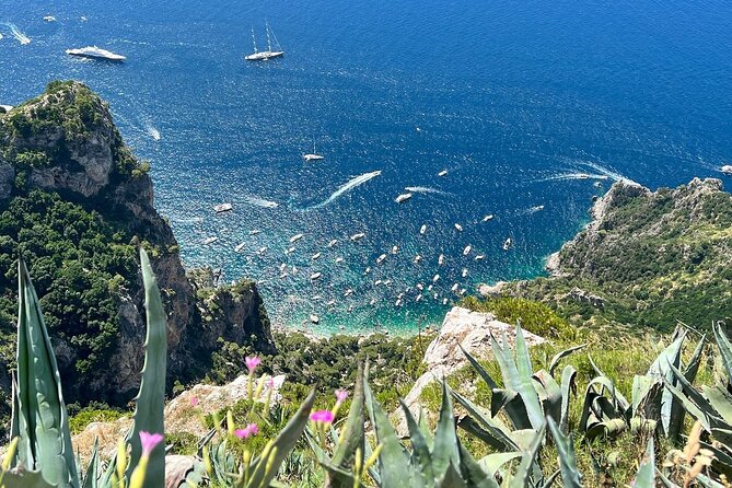 Small Group Tour from Rome to Blue Grotto, Anacapri and Capri - The Value and Overall Experience