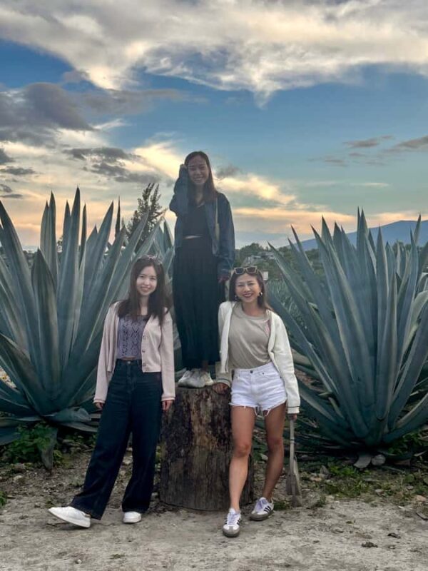 Small group tour: Hierve el Agua, Mezcal, Textiles, and the Tule tree - Explore the Best of Oaxaca’s Zapotec Heritage and Natural Wonders