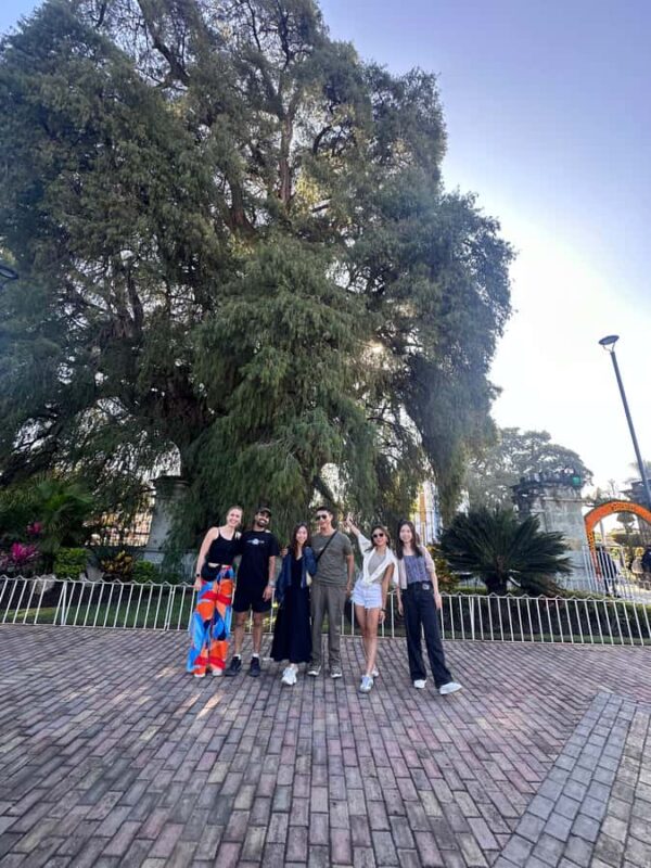 Small group tour: Hierve el Agua, Mezcal, Textiles, and the Tule tree - Small Group Experience with Personal Attention