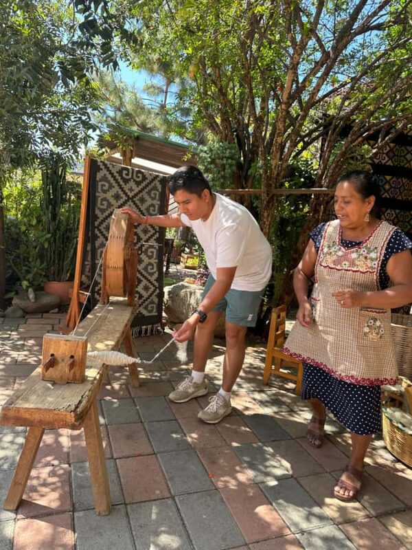 Small group tour: Hierve el Agua, Mezcal, Textiles, and the Tule tree - Discover the Tule Tree and Its Enormous Trunk