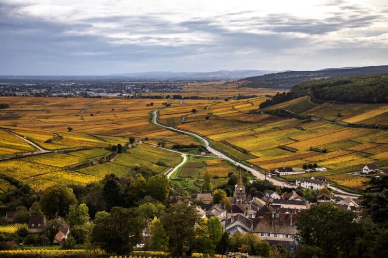 Small group tour Morning in Côte de Beaune - Wine Tasting in a Historic Estate or Cellar