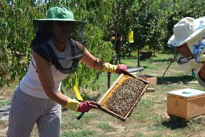 Small Group Tour of Ancient Olympia and Local Food Tasting - Practical Details for a Smooth Tour Experience