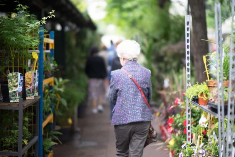 Small group tour of Paris: Ile de la Cité & Ile Saint-Louis - Practical Information: Group Size and Accessibility