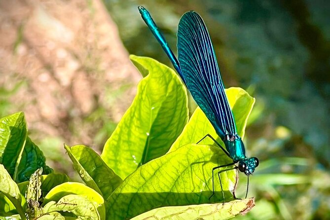 Small Group Tour of Saranda, Ksamil & Blue Eye from Tirana - The Practicalities: Logistics and Inclusions