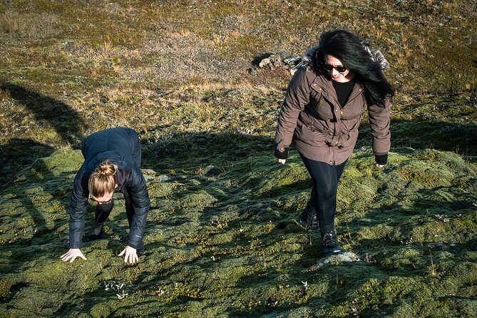 Small Group Tour of Valley of Tears and Highlands adventure - Practical Details and Group Experience