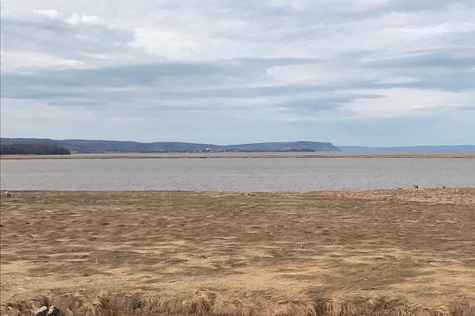 Small Group Tour - Peggy's Cove, Lunenburg, the Annapolis Valley - Wine Tasting at Lightfoot & Wolfville Vineyards