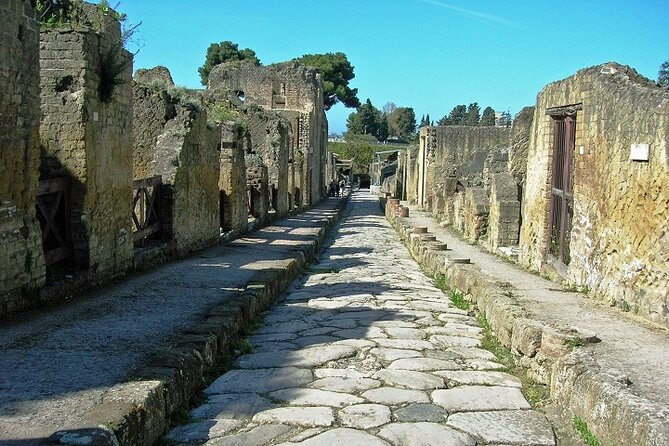 Small Group Tour Pompeii and Herculaneum from Rome - Transport and Group Size
