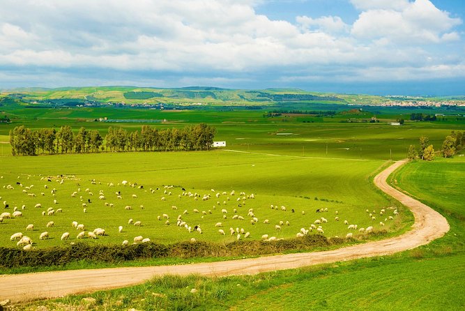 Small Group Tour - Tempio Pausania, Luras, The Gallura County- SARDINIA - ITALY - Key Points