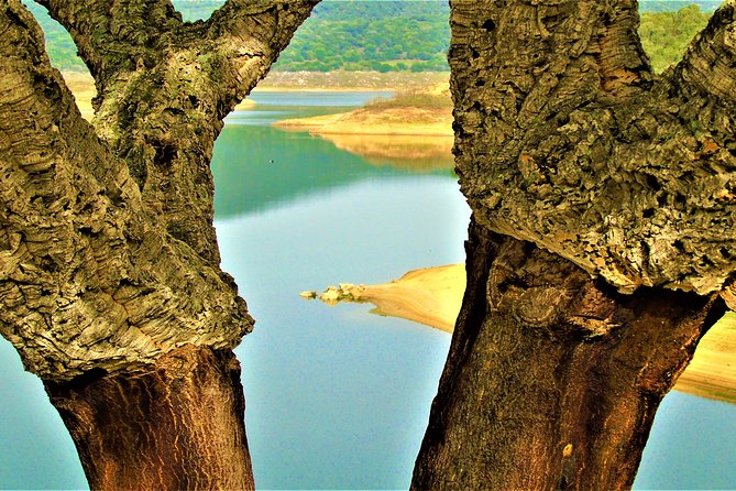 Small Group Tour - Tempio Pausania, Luras, The Gallura County- SARDINIA - ITALY - Exploring Sardinian Culture at the Ethnographic Museum