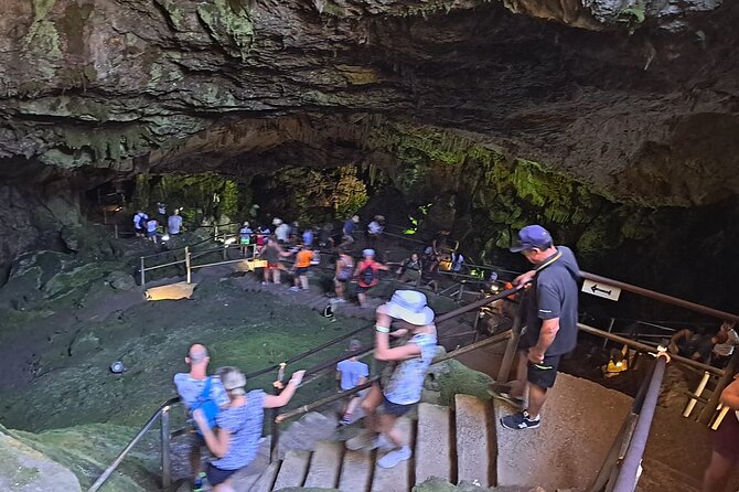 Small Group Tour to Knossos Palace Lasithi Plateau & Olive Mill - Starting the Day at Omalia Olive Press in Malia