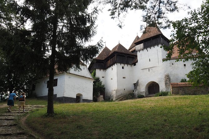 Small Group Tour to Viscri Church Sighisoara Town Rupea Fortress - Who Will Appreciate This Tour Most?