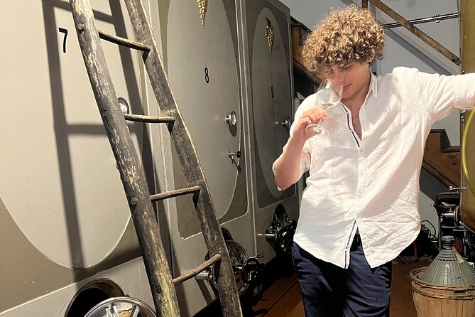 Small Group Tour with Prosecco Wine Tasting from Venice - Lunch in a Typical Trattoria