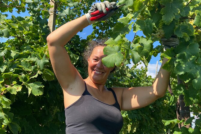 Small Group Tour with Prosecco Wine Tasting from Venice - Practical Details: Logistics and Accessibility