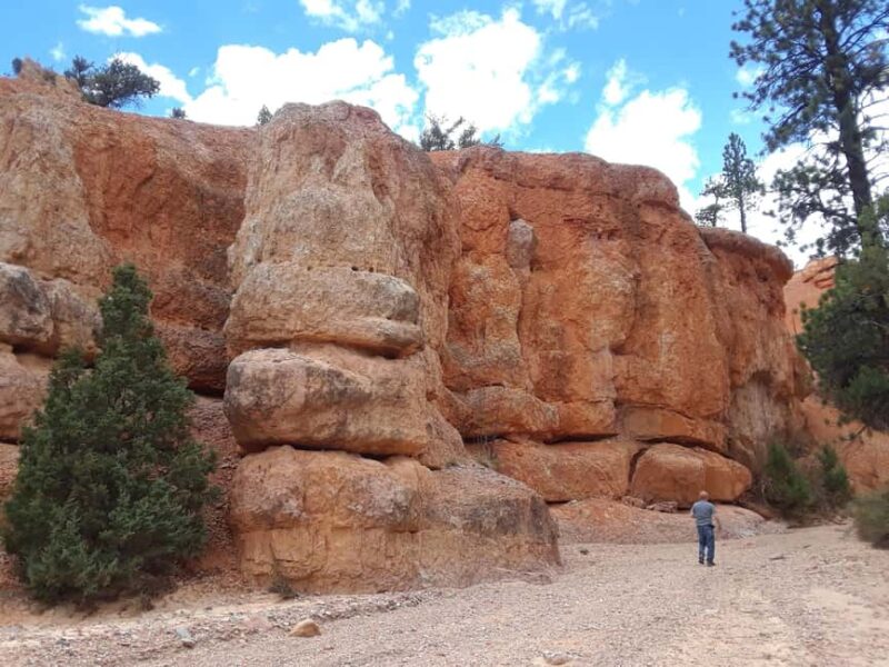 Small Group Tour Zion & Bryce Canyon National from Las Vegas - Zion National Park’s Cliffs and Valleys