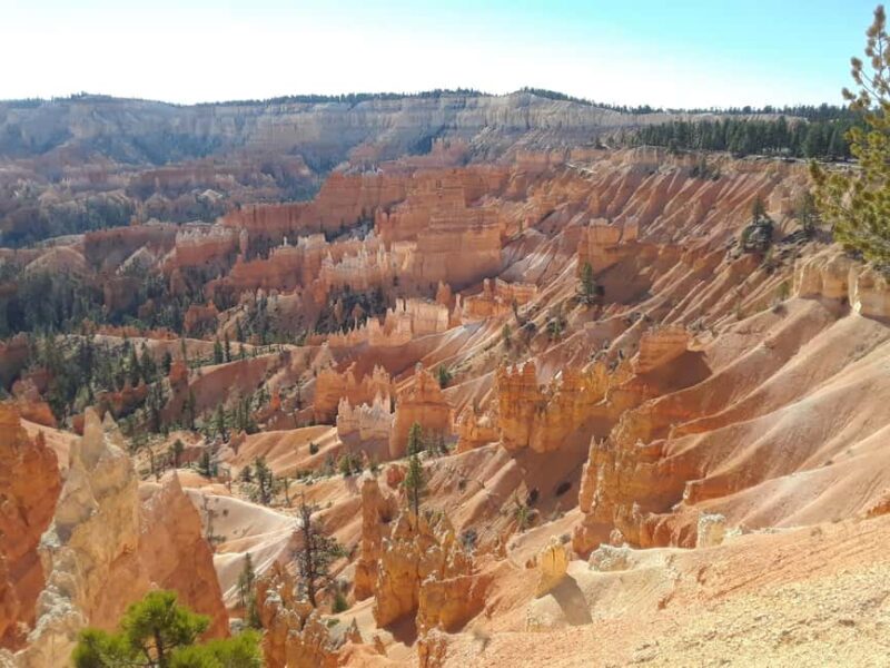 Small Group Tour Zion & Bryce Canyon National from Las Vegas - The Guided Experience and Multilingual Support