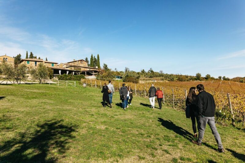 SMALL GROUP Tuscany Wine Tasting Safaris with Lunch / Dinner - The Off-Road Vineyard Ride and Scenic Stops