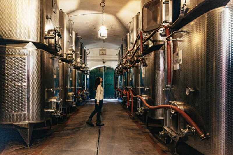 SMALL GROUP Tuscany Wine Tasting Safaris with Lunch / Dinner - Accessibility and Suitability