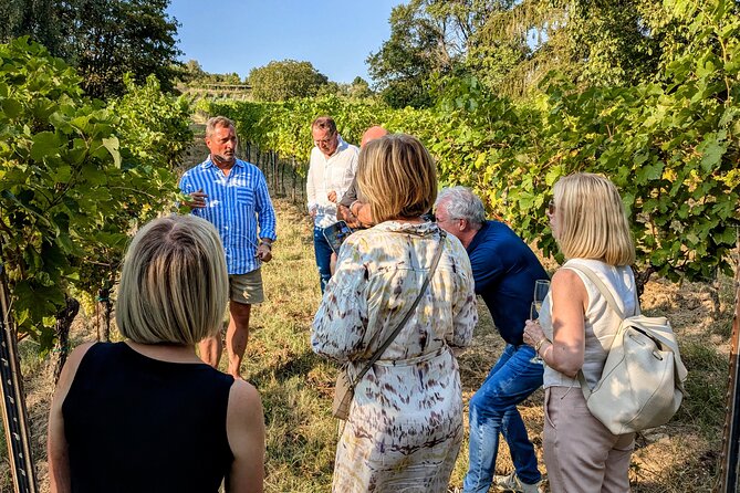 Small-group Vienna Wine Tour - Discovering Vienna’s UNESCO World Heritage Old Town