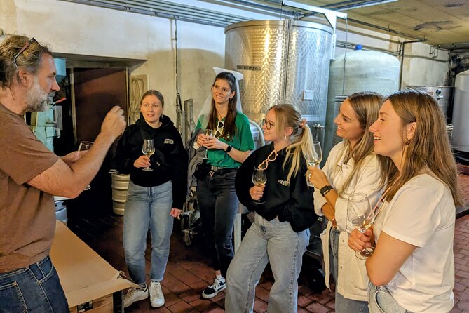 Small-group Vienna Wine Tour - The Guide: Jan and James as Knowledgeable Hosts