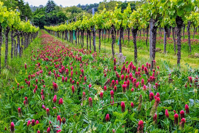 Small-group Vienna Wine Tour - Pricing and Cancellations