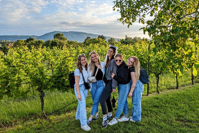 Small-group Vienna Wine Tour - Vienna Wine Tour with a Personal Touch
