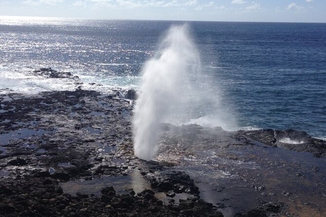 Small-Group Waimea Canyon Adventure Tour & Beyond with Lunch - Charming Stops: Swinging Bridge and Coffee Tasting