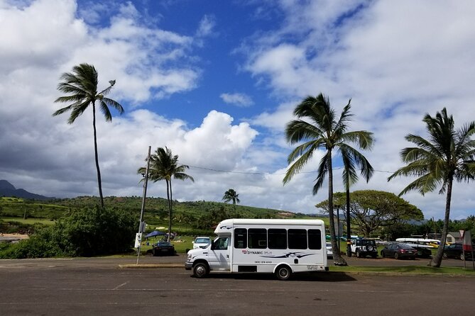 Small-Group Waimea Canyon Adventure Tour & Beyond with Lunch - Roadside Tree Tunnel and Local Culture