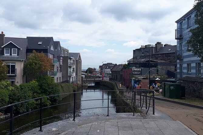 Small-Group Walking Tour of Galway - Crossing Salmon Weir Bridge and Visiting Galway Cathedral