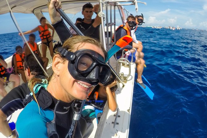 Small Group Whale Shark Encounter - 10 years in business - The Role of the Guides and Crew