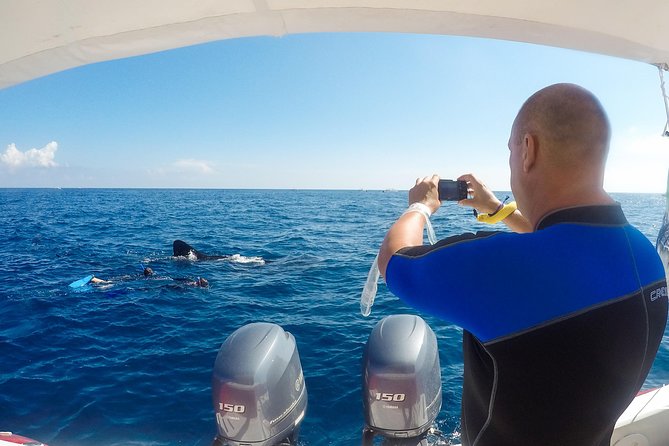 Small Group Whale Shark Encounter - 10 years in business - Snacks, Drinks, and Onboard Amenities