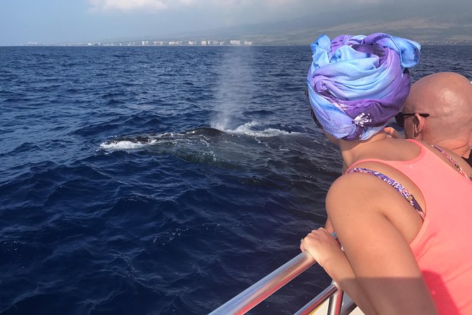 Small-Group Whale Watching Adventure - Discover Maui’s Intimate Whale Watching Adventure for $108.85