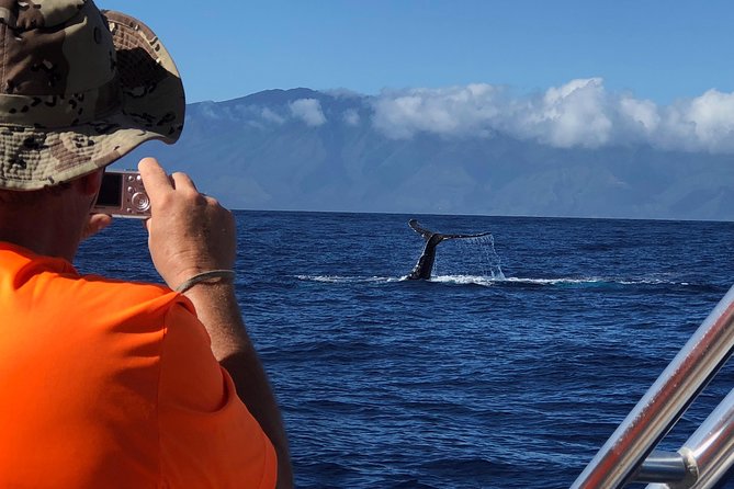 Small-Group Whale Watching Adventure - The Experience of Seeing Whales Up Close