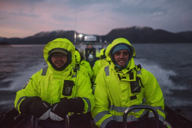 Small Group Whale Watching by RIB - The Experience of a RIB Boat