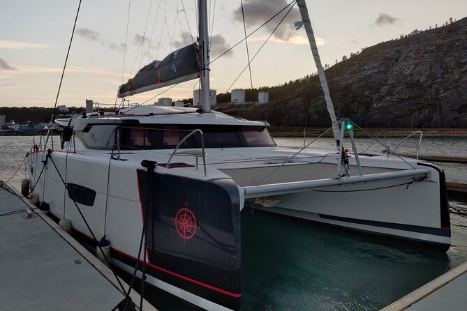 Small group Whale watching - Prime Whale Watching Season in the Alta Fjords