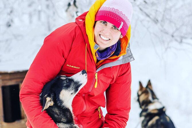 Small Group Wilderness Husky Sledding 2h from Tromsø (car needed) - Driving Your Two-Person Sled on Snow Trails