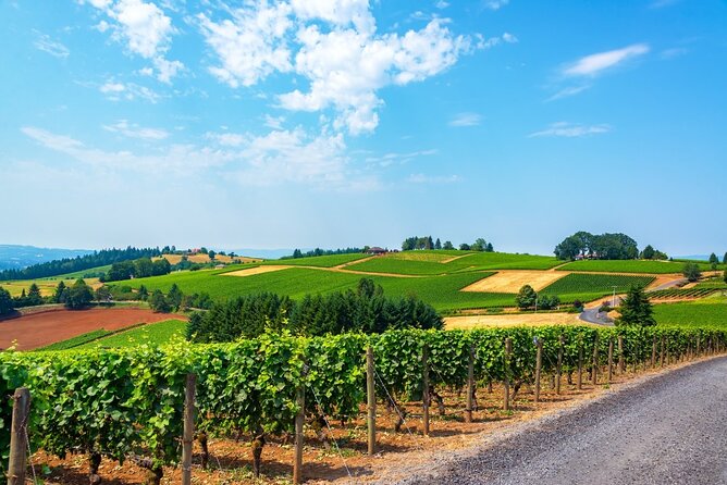 Small-Group Willamette Valley Wine Tour with Tastings & Lunch - Explore Oregon’s Willamette Valley on a Small-Group Wine Tour