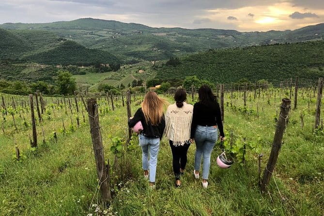 Small Group Wine Tasting in Tuscany with Vineyard Visit - Starting from Florence for a Scenic Vineyard Drive